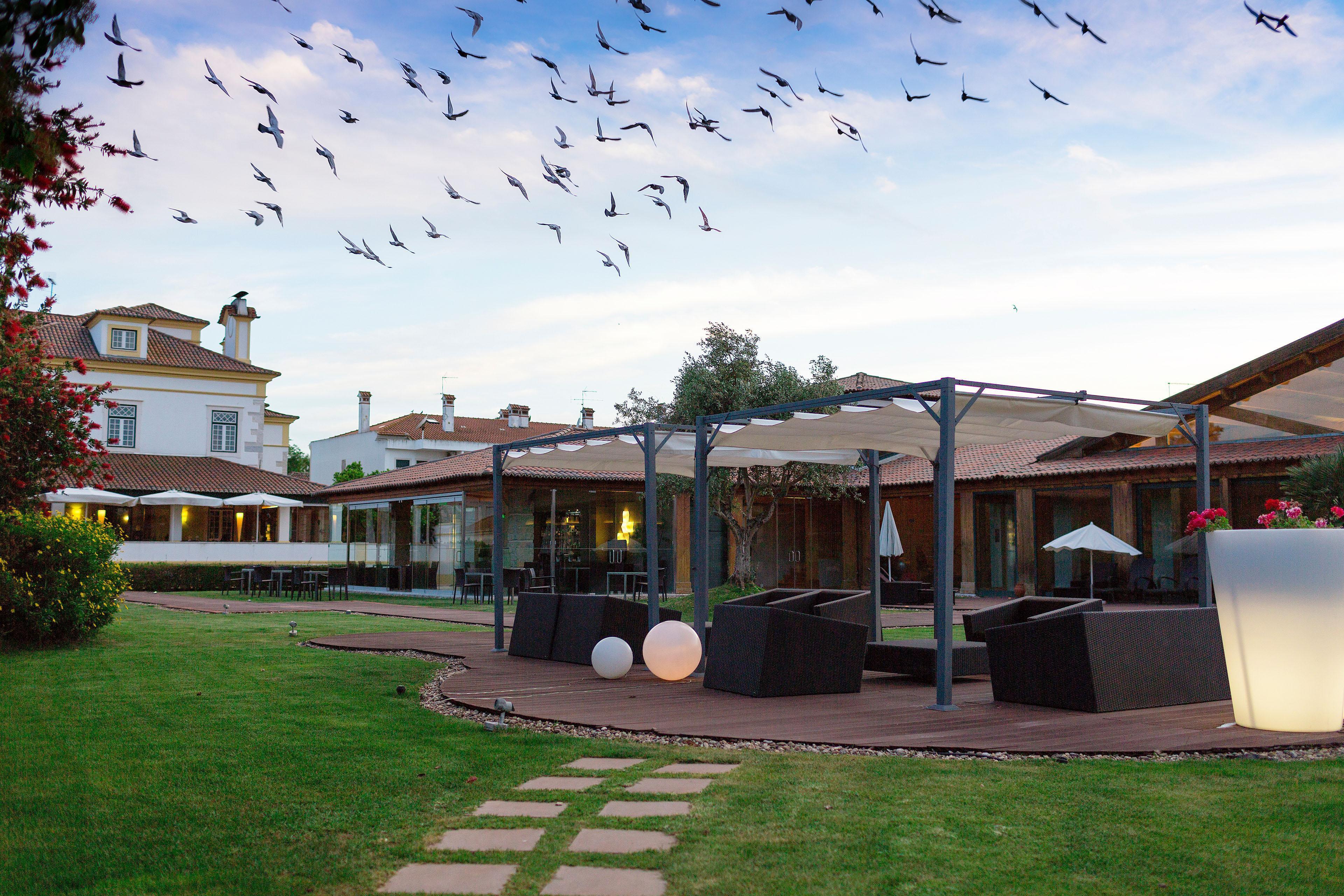Hotel Lusitano Golegã Exteriör bild